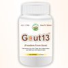 Gout13 Tablet